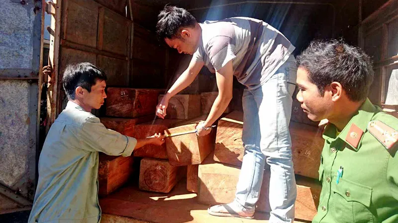 Xe gỗ lậu tăng ga vượt qua chốt cảnh sát 