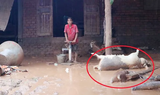 Môi trường tại khu vực vỡ đập thủy điện ở Lào đứng trước nguy cơ ô nhiễm
