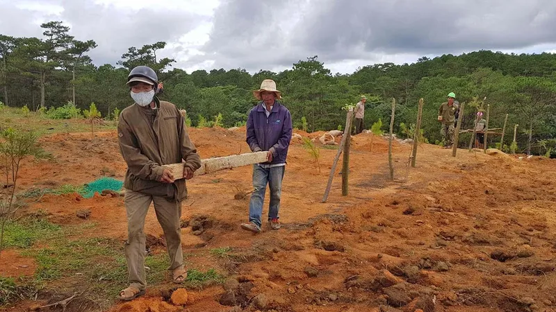 Giải toả rào chắn phân lô đất rừng Đà Lạt