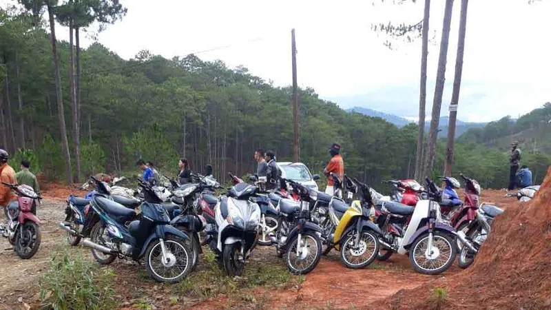 Dân chơi đá gà chạy tán loạn giữa rừng khi bị phát hiện