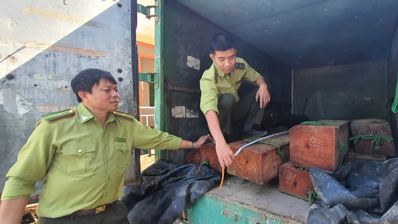 Lâm tặc chở gỗ quý lao vào đoàn kiểm tra hòng tẩu thoát