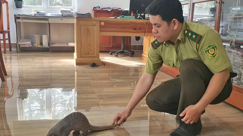 Dân mua thú hoang dã giao cho kiểm lâm thả về rừng