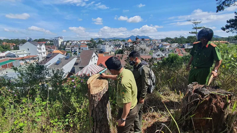 Cơ quan chức năng khám nghiệm hiện trường. Ảnh: ĐOÀN KIÊN