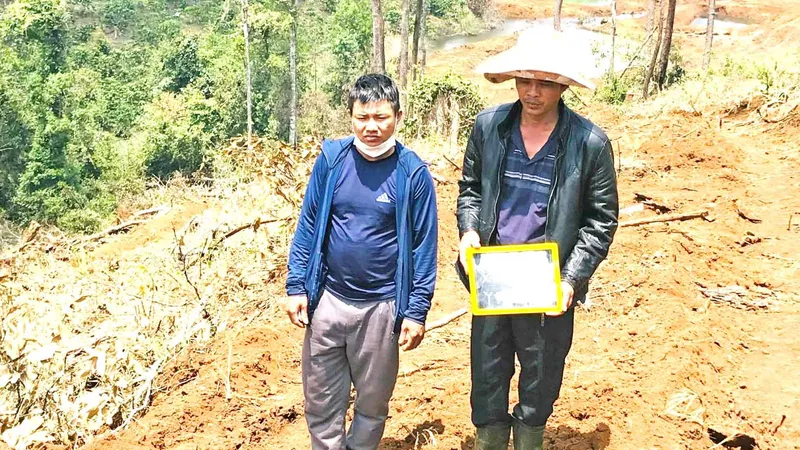 Bắt giam đối tượng chủ mưu phá rừng quy mô lớn tại Lâm Đồng