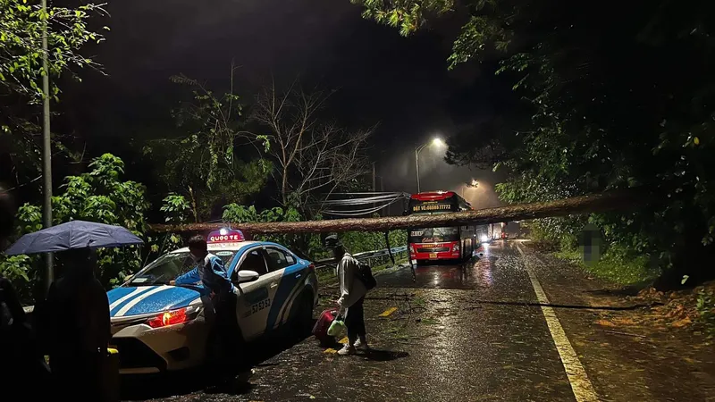 Mưa to, gió lớn, thông đổ vắt ngang đèo Prenn