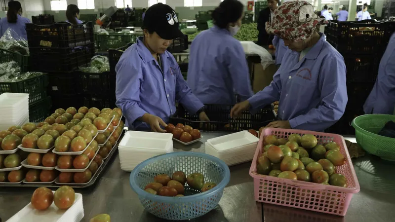 Hơn 800 sản phẩm nông nghiệp Lâm Đồng lên sàn thương mại điện tử