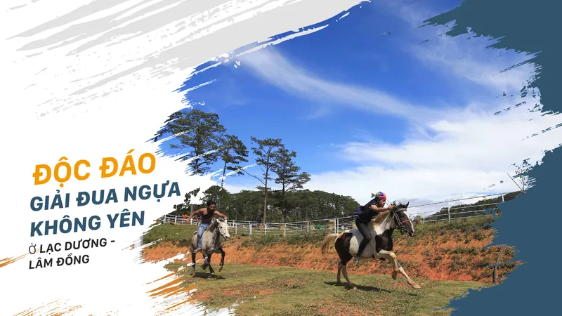 Độc đáo giải đua ngựa không yên ở Lạc Dương - Lâm Đồng
