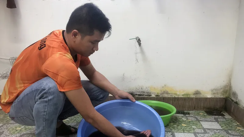 Nước sinh hoạt ở Đà Lạt đen như nước cống