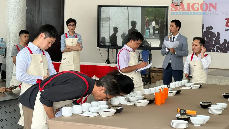 Đà Lạt: Độc đáo cuộc thi tuyển chọn chất lượng cà phê đặc sản Arabica