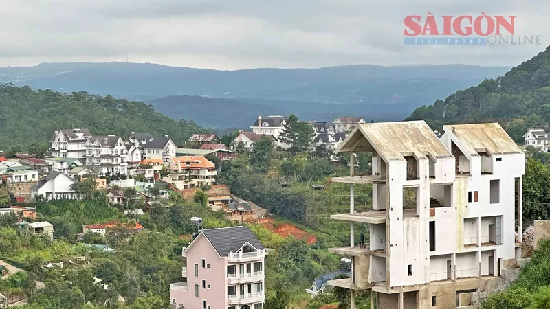 Kiểm tra tất cả nhà riêng lẻ sát vách núi, suối có nguy cơ sạt lở cao ở Đà Lạt