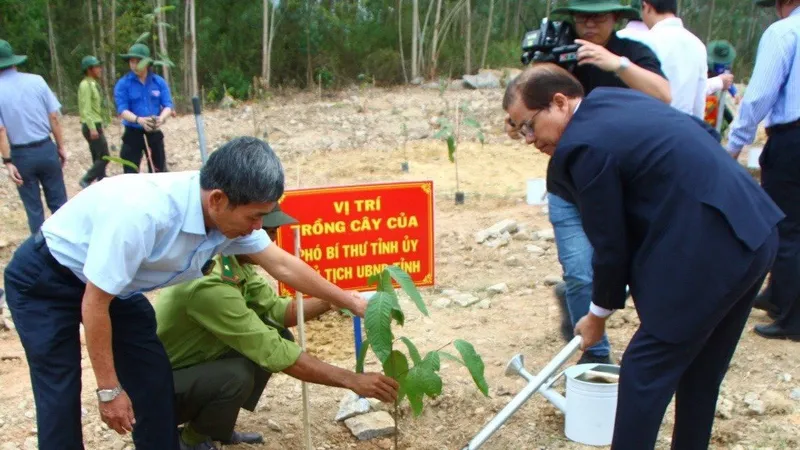 Nông dân Khánh Hòa trồng 40.000 cây xanh trong chương trình “Tết trồng cây đời đời nhớ ơn Bác Hồ”