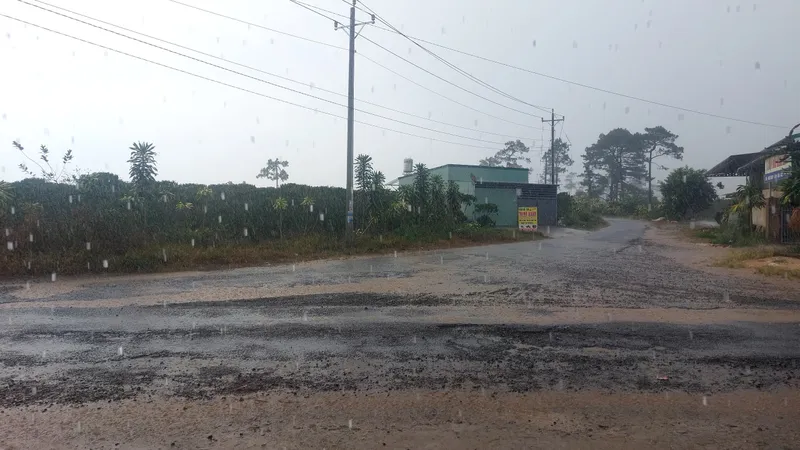 Xuất hiện "mưa vàng" giải nhiệt một số khu vực tại Lâm Đồng