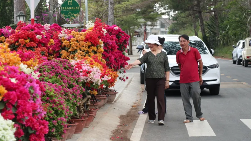 Hoa tết rộn ràng xuống phố Đà Lạt