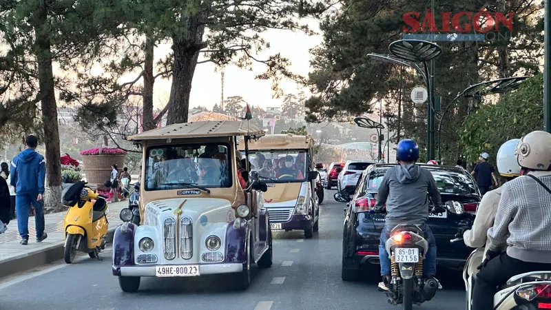 Đà Lạt: Chưa cho phép xe điện 4 bánh phục vụ du lịch hoạt động trở lại