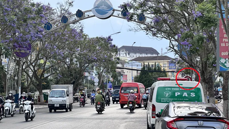 Đà Lạt: Hơn 160 ô tô bị phạt nguội, nhiều biển báo giao thông bị che khuất
