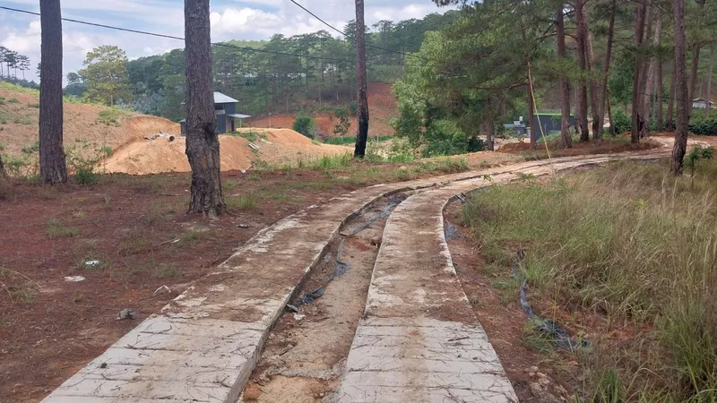 Đà Lạt: Xử lý đoạn đường bê tông trái phép băng qua rừng phòng hộ