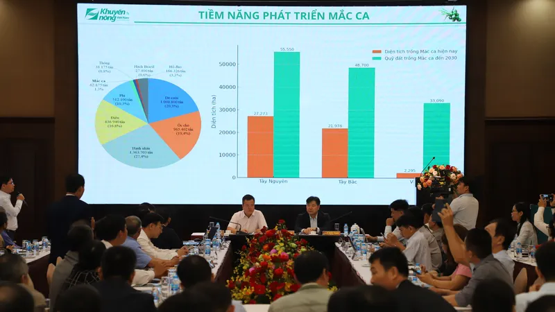Dư địa sản xuất mắc ca còn nhiều