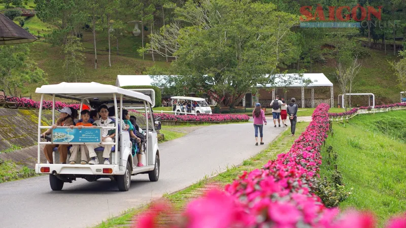 Du lịch kết nối “biển – hoa – đại ngàn”