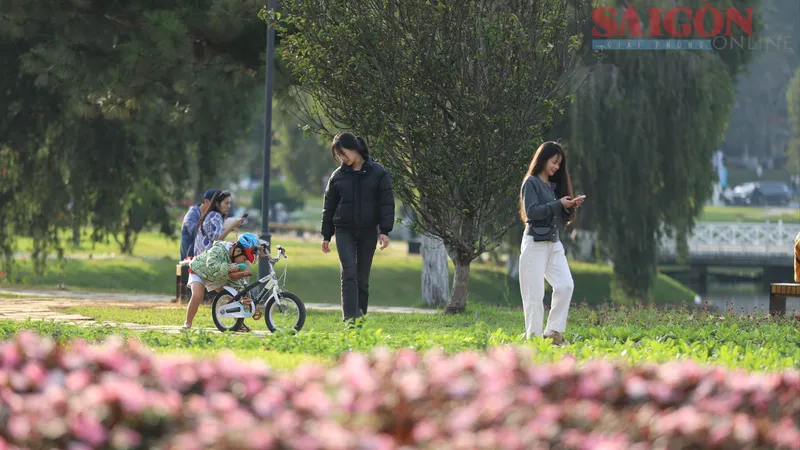 Đà Lạt thông thoáng trong ngày đầu năm mới 2026