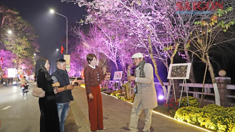 Đường nghệ thuật hoa Mai anh đào Đà Lạt mở cửa phục vụ du khách