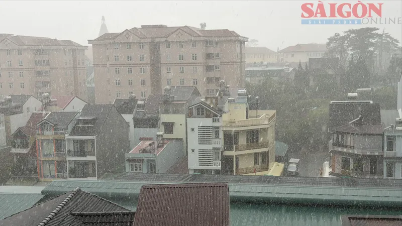 Lâm Đồng: Liên tiếp xuất hiện mưa giải nhiệt