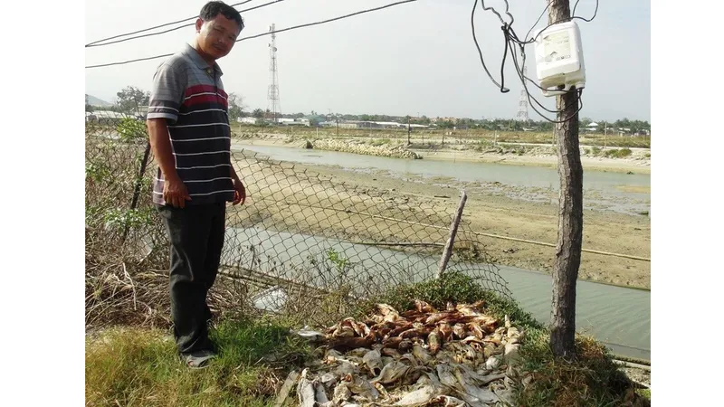 Dân nuôi thủy sản đầm Thủy Triều dài cổ chờ đền bù