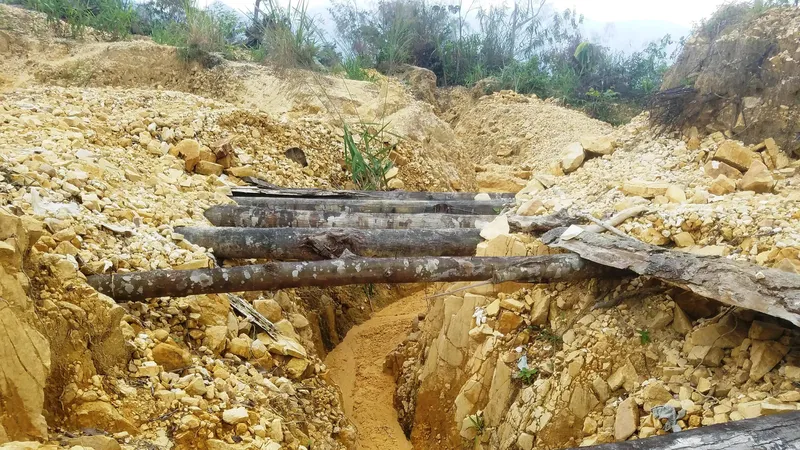 2 phóng viên Báo Khánh Hòa bị hành hung, giam lỏng giữa rừng