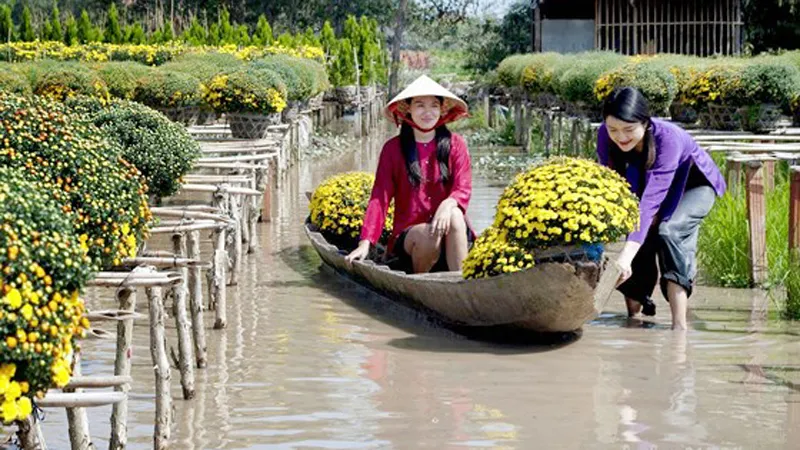 Người trồng hoa kiểng Tết ở Nam bộ rất lo sợ mưa trái mùa