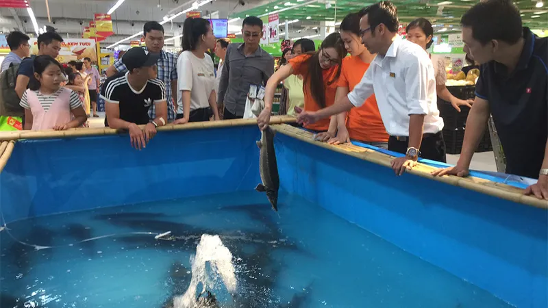 Lần đầu tiên có tuần lễ cá sông Đà ở Hà Nội