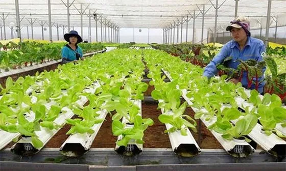10 nông dân nhận giải “Tôi là nông dân 4.0”
