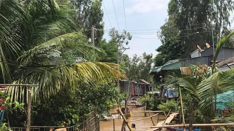 Nước lũ ở đồng bằng sông Cửu Long “tạm xuống” rồi lại lên cao