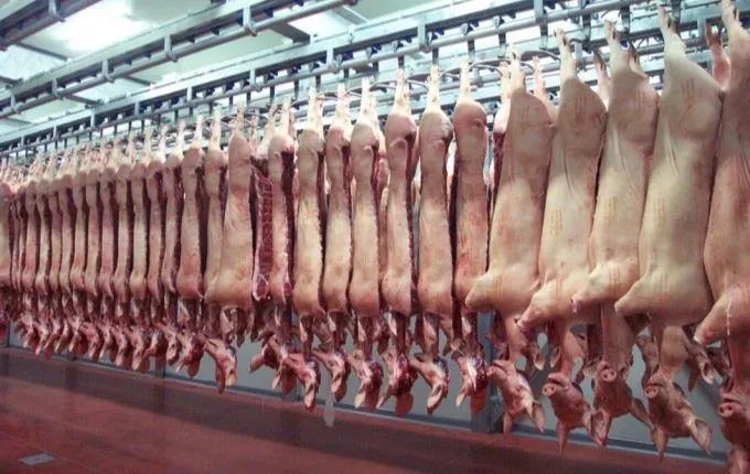 Việt Nam sẽ có thịt mát 