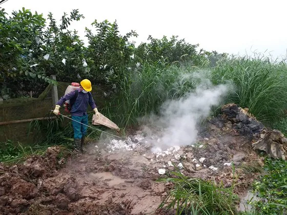 Đề nghị xử lý thông tin nhảm về dịch tả heo