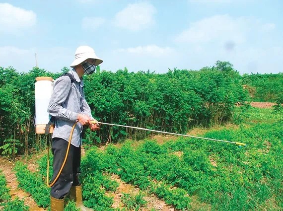 Bộ NN-PTNT loại bỏ thuốc diệt cỏ gây ung thư từ hôm nay (10-4)