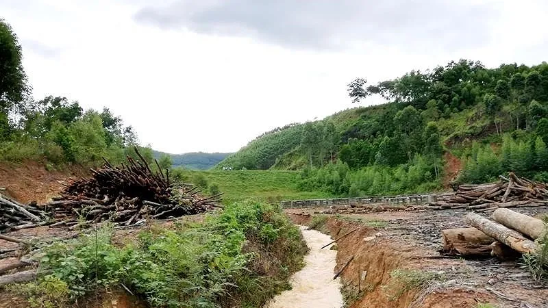19 người chết và mất tích, khẩn cấp cứu đê biển Cà Mau