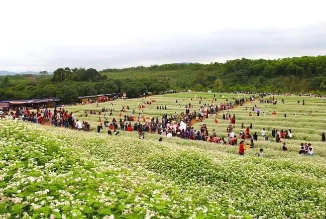 Cuối tuần này, thời tiết đẹp!