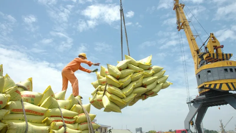 Điều tra các doanh nghiệp khai khống gạo để “giữ chỗ”