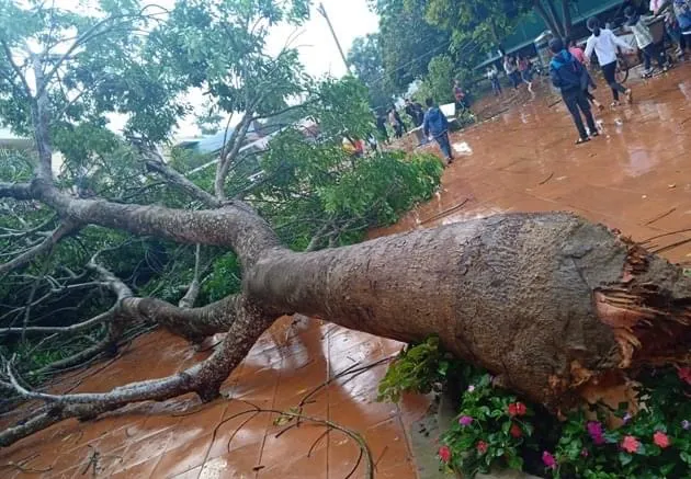 Thiên tai đầu mùa làm 17 người thương vong