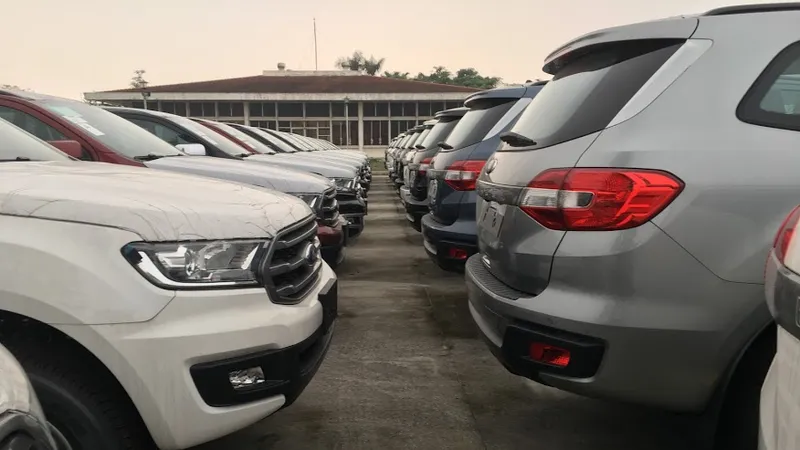Lần đầu đấu giá nhập khẩu 66 chiếc ô tô cũ theo CPTPP