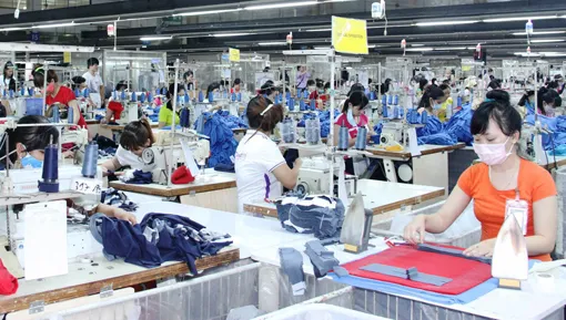 Chấp nhận miễn thuế cho 2 công ty ở Bình Dương sau khi bị truy thu thuế hàng chục tỷ đồng