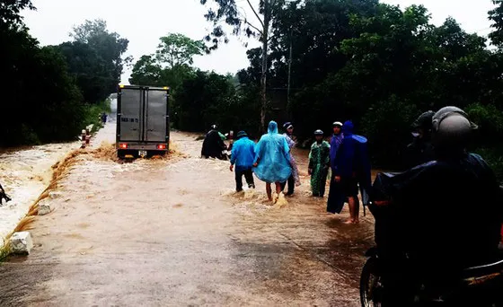 Hơn 52.000ha lúa chưa kịp thu hoạch trước bão số 12