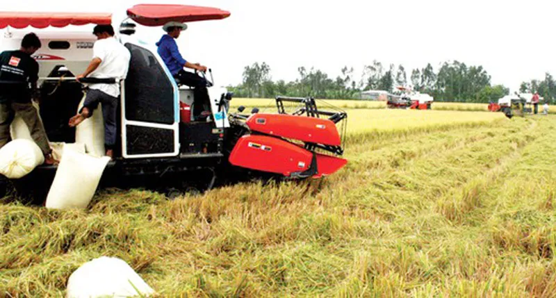 Bất chấp dịch Covid-19, nông nghiệp Việt Nam vẫn “làm nên kỷ lục”
