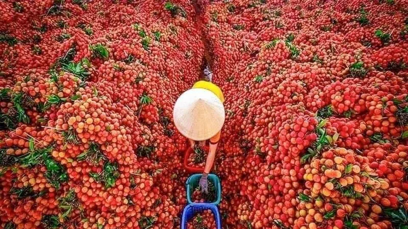 Vừa ngơi bão lại nắng nóng kéo dài nhiều ngày