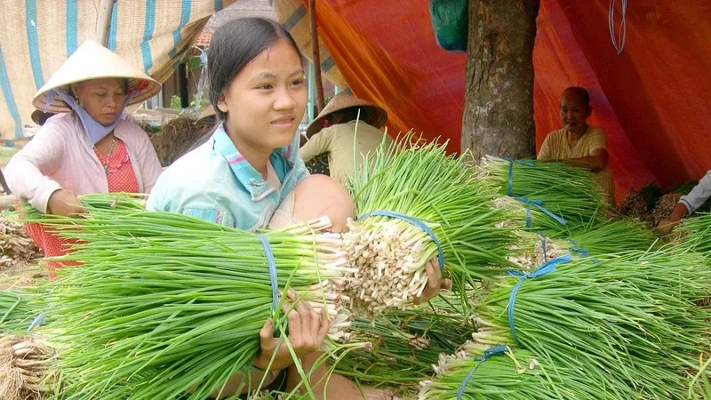 Đề nghị nhân rộng mô hình “tổ công tác” về nông sản tại miền Nam