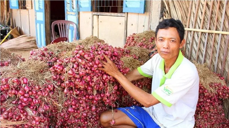 Nhiều nơi đang ùn ứ lượng lớn rau gia vị sau vụ “mì Hảo Hảo”
