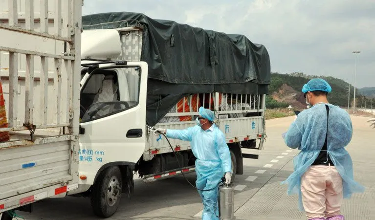 Trung Quốc tạm dừng nhập khẩu thanh long Việt Nam tại cửa khẩu Móng Cái
