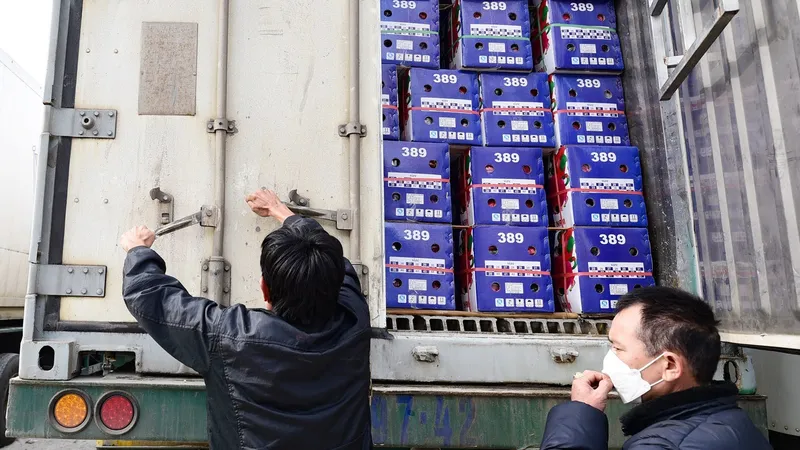Bộ NN-PTNT đề nghị Bộ GTVT “hạ nhiệt” container lạnh