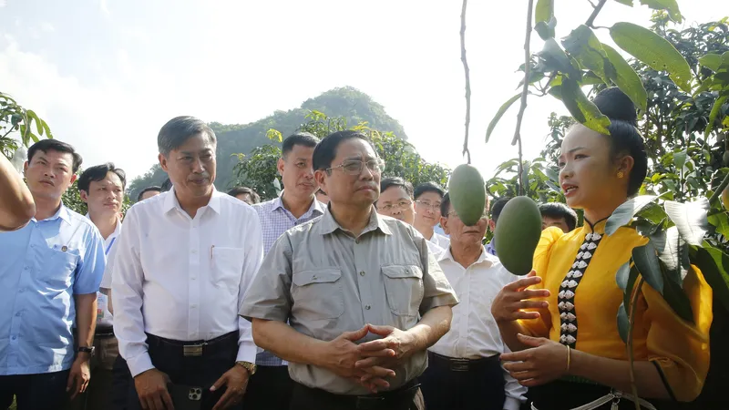 Thủ tướng biểu dương tinh thần “bàn tay ta làm nên tất cả” trong nông nghiệp