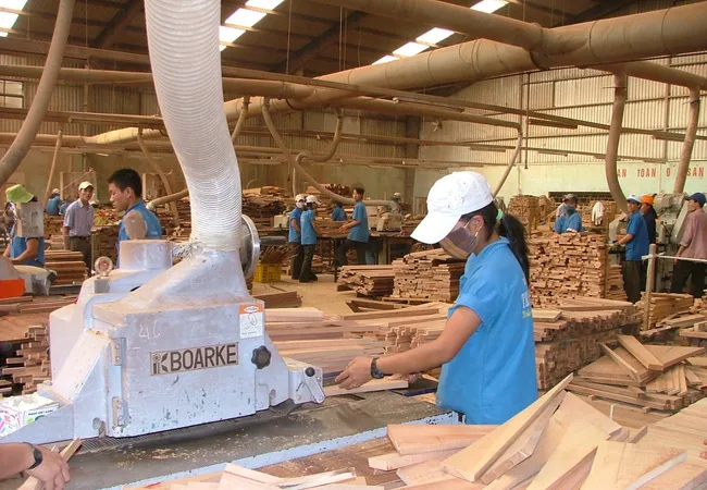 Gỗ dán Việt Nam bị Hoa Kỳ nghi ngờ nhập nguyên liệu Trung Quốc