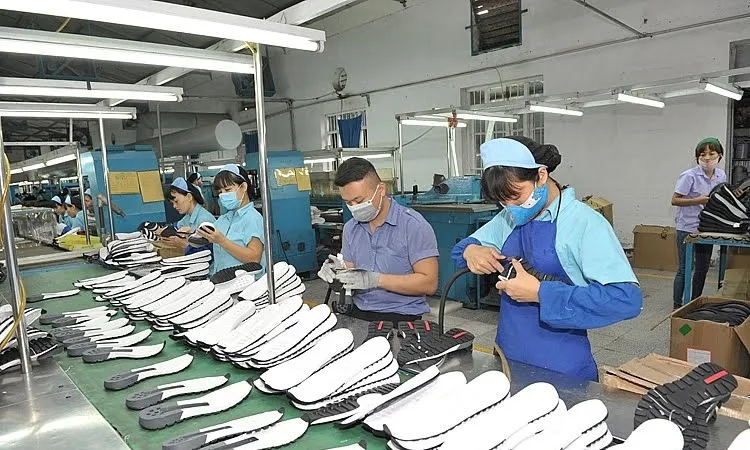Tăng tỷ trọng nguyên liệu có xuất xứ Việt Nam để tiến vào EU